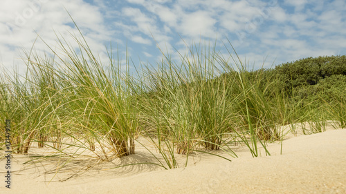 Scenic View Of Dune Against Sky