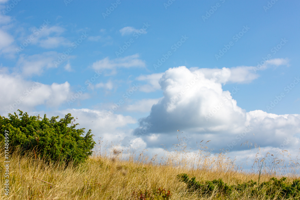 clouds in sky over meadow clouds in sky over meadow