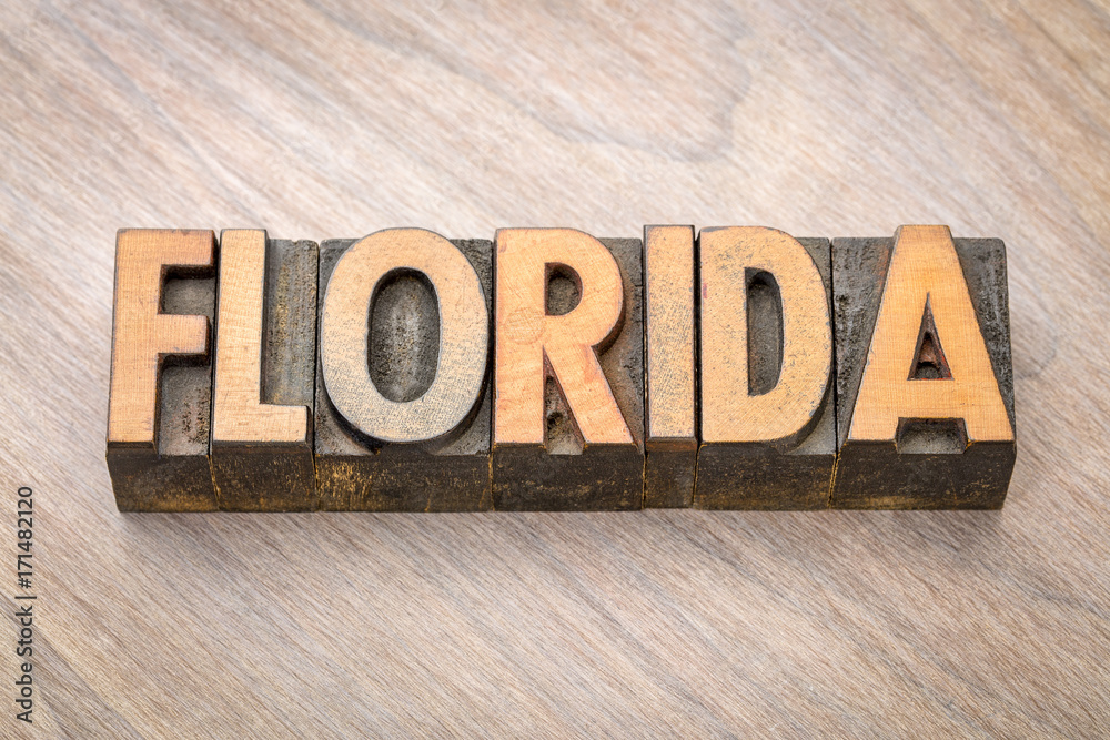 Fototapeta premium Florida word abstract in wood type