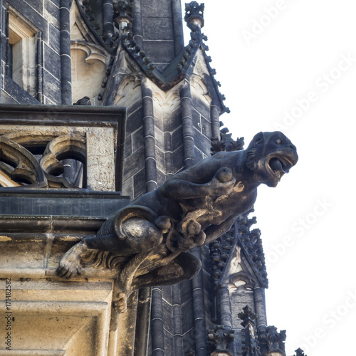 Cathedral of Saint Vitus Prague