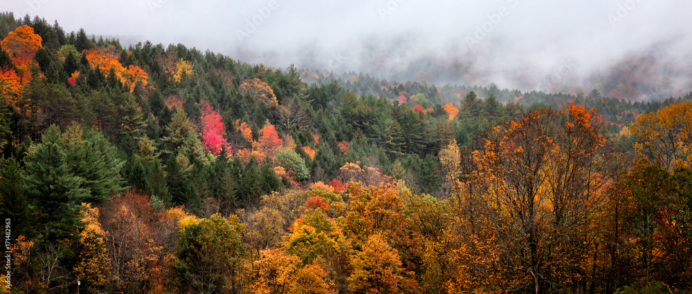 Fall mountain landscape in New England. Colorful foliage. Misty fog in the background. Banner format