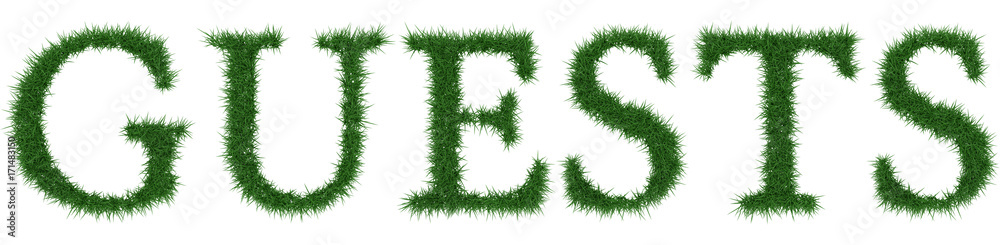 Guests - 3D rendering fresh Grass letters isolated on whhite background. Guests - 3D rendering fresh Grass letters isolated on whhite background.