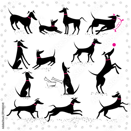 Leinwand Poster Italian greyhounds set of silhouettes