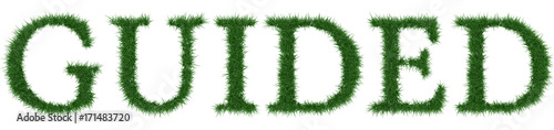 Guided - 3D rendering fresh Grass letters isolated on whhite background.