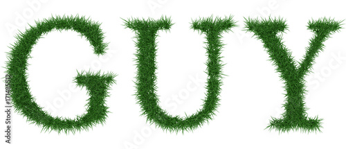 Guy - 3D rendering fresh Grass letters isolated on whhite background.