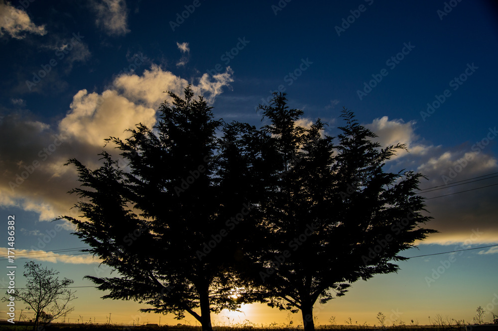 Sunset Sunset