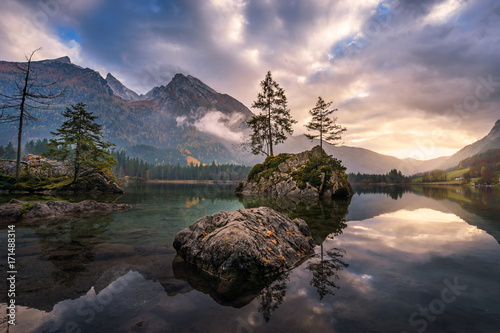 Tree on a rock within a lake