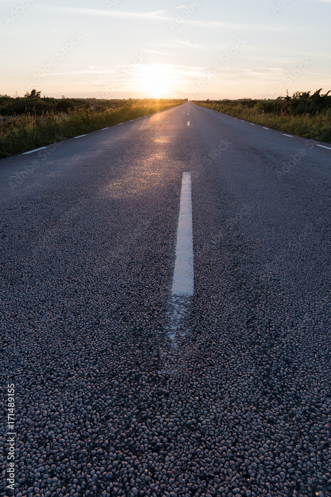 Sunlit asphalt road from low perspective