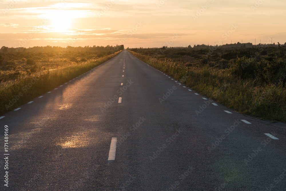 Straight country road by twilight