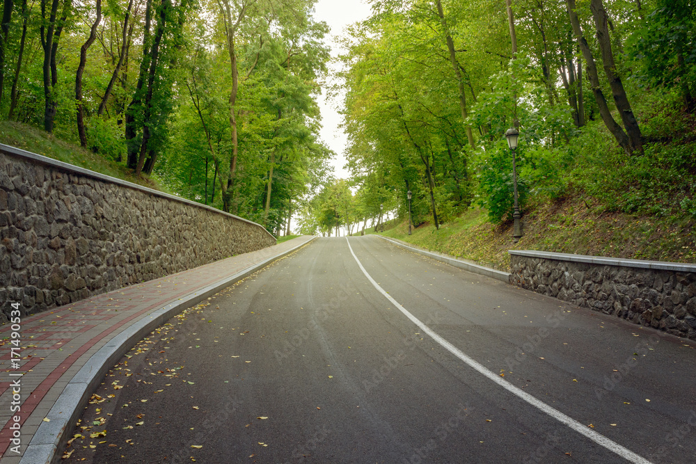 abrupt rise of the road in the forest abrupt rise of the road in the forest