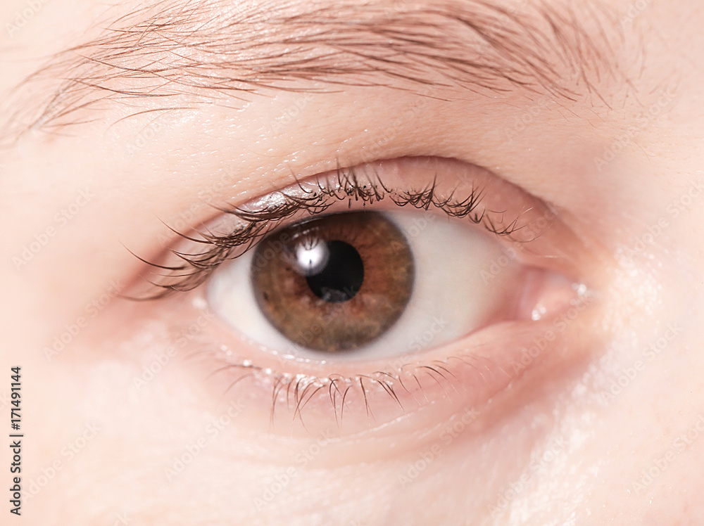 Close up view of a brown woman eye looking at camera Close up view of a brown woman eye looking at camera