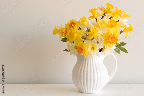 Close up of varied yellow daffodils in white jug on table against neutral wall background