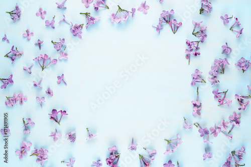 Lilac flowers on blue background