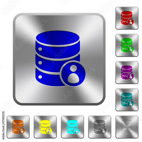 Database privileges rounded square steel buttons