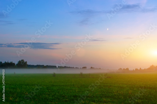 Rural landscape fog on a green field during sunset