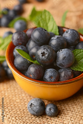 pile of blueberries in the terracotta bowl