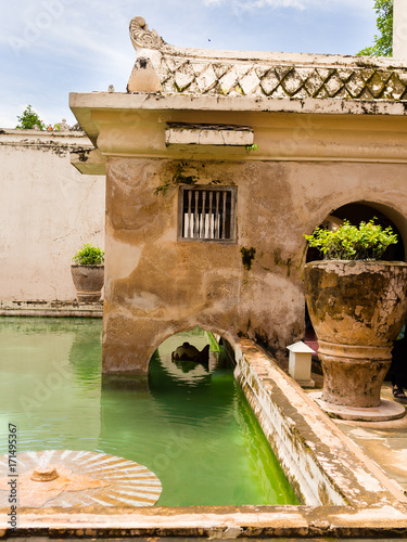 Close up of a huge flower pot with a plant inside of Taman Sari water palace of Yogyakarta on Java island, Indonesia photo