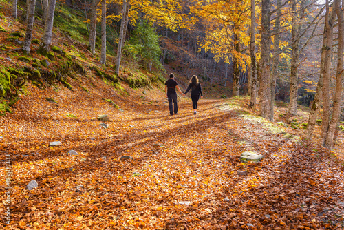 Couple walk through a beech forest, Sierra Cebollera Natural Park, La Rioja, Spain