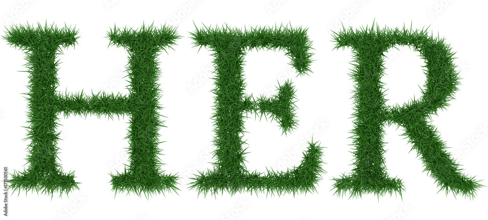 Her - 3D rendering fresh Grass letters isolated on whhite background. Her - 3D rendering fresh Grass letters isolated on whhite background.
