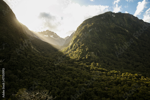 Etherial Paradise New Zealand Sunlight photo