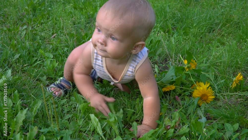 the beautiful child crawls on the grass the beautiful child crawls on the grass