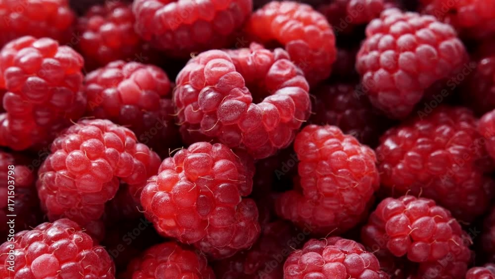 Fresh raspberry fruits as food background. Healthy food organic nutrition. View from above. Dolly slider shot 4K ProRes HQ codec Fresh raspberry fruits as food background. Healthy food organic nutrition. View from above. Dolly slider shot 4K ProRes HQ codec