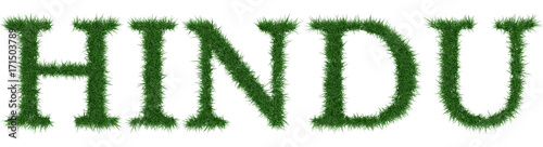 Hindu - 3D rendering fresh Grass letters isolated on whhite background.