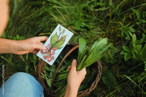 plantain cards