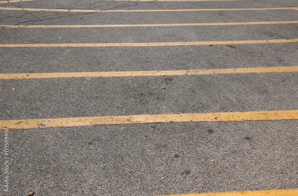 Fototapeta premium Parking Lines