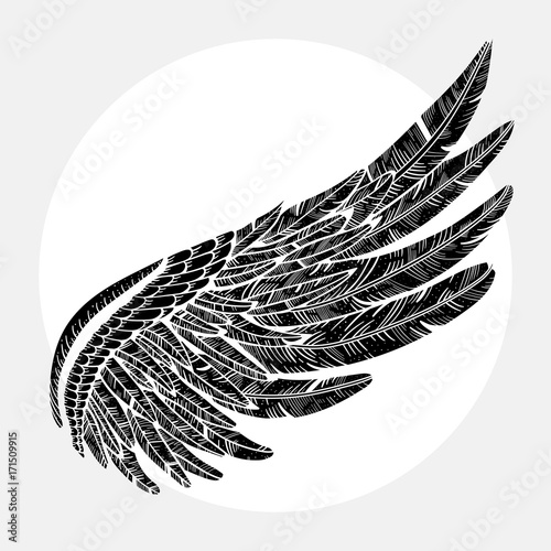 Vintage vector wing illustration design