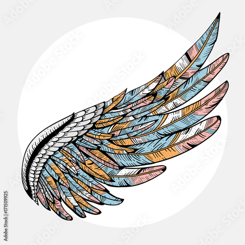 Vintage vector wing illustration design