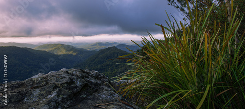 Fototapeta Naklejka Na Ścianę i Meble -  Mountain view from the Gold Coast Hinterlands