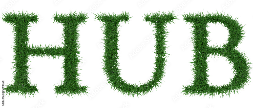 Hub - 3D rendering fresh Grass letters isolated on whhite background. Hub - 3D rendering fresh Grass letters isolated on whhite background.