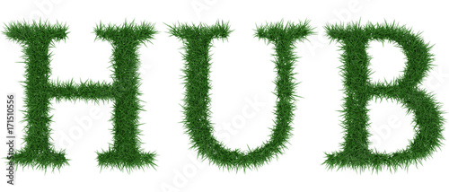 Hub - 3D rendering fresh Grass letters isolated on whhite background.