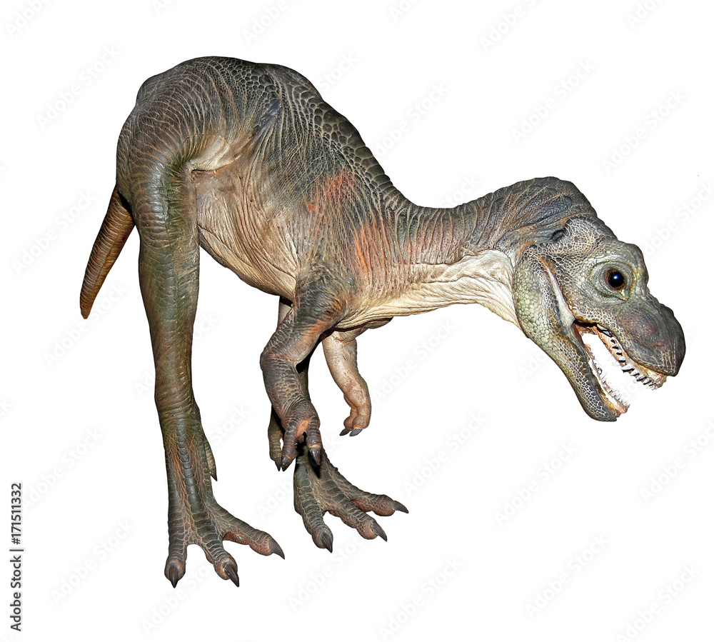 Obraz premium Dinosaur isolated on white background. Wonderful image of Tyrannosaurus from Jurassic era. Extinct animals. Wildlife of Prehistoric era.