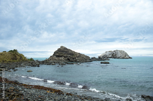 Hikurangi Marine Reserve South Island New Zealand photo