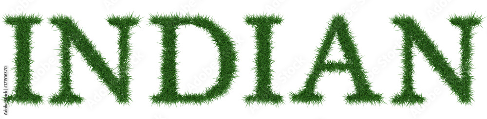Indian - 3D rendering fresh Grass letters isolated on whhite background. Indian - 3D rendering fresh Grass letters isolated on whhite background.