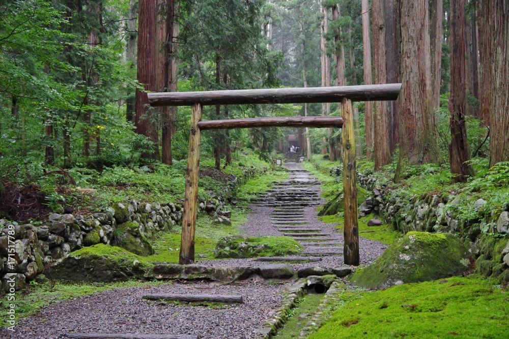 苔が有名な福井県の平泉寺白山神社 苔が有名な福井県の平泉寺白山神社