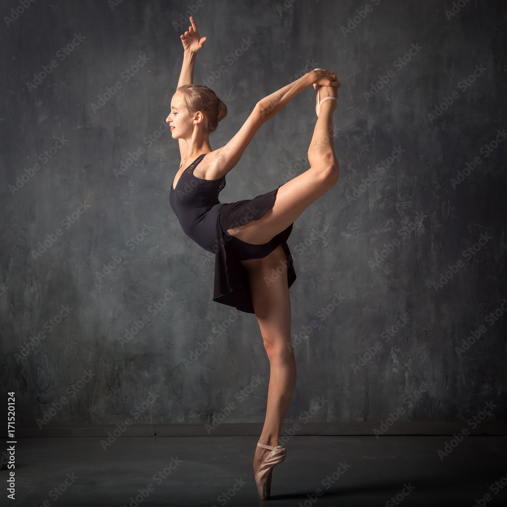 Beautiful pointe shoes discount