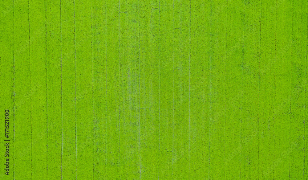 Fototapeta premium Aerial view from flying drone of Field rice with landscape green pattern nature background
