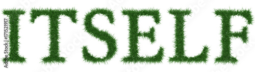 Itself - 3D rendering fresh Grass letters isolated on whhite background.