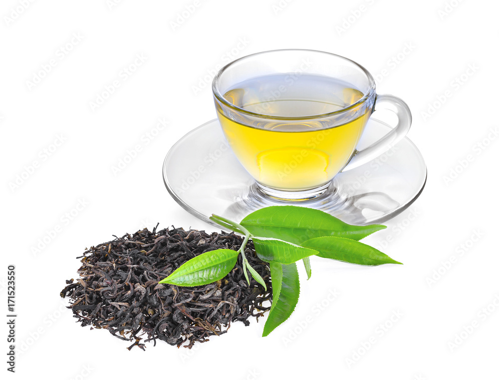 pile of dried green tea with fresh green tea leaves and hot tea isolated on white background pile of dried green tea with fresh green tea leaves and hot tea isolated on white background