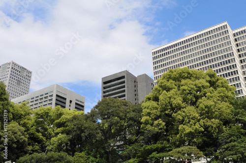 東京丸の内の街並み