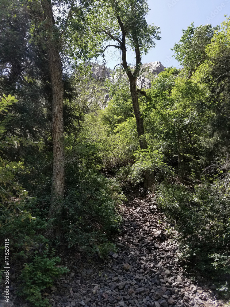 Fototapeta premium Mil Creek Canyon Utah