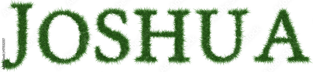 Joshua - 3D rendering fresh Grass letters isolated on whhite background. Joshua - 3D rendering fresh Grass letters isolated on whhite background.