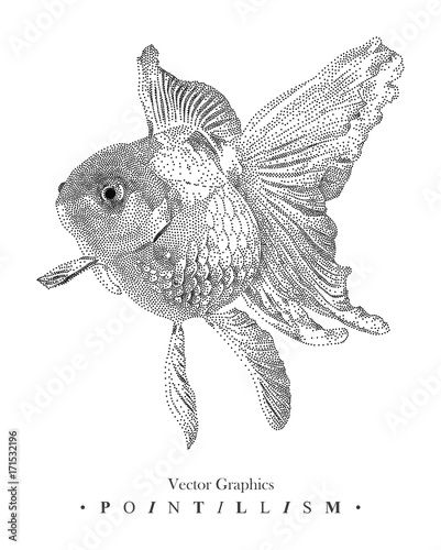 Vector illustration with goldfish drawn by hand. Graphic drawing, pointillism technique. Underwater world. Black and white animal element isolated on white