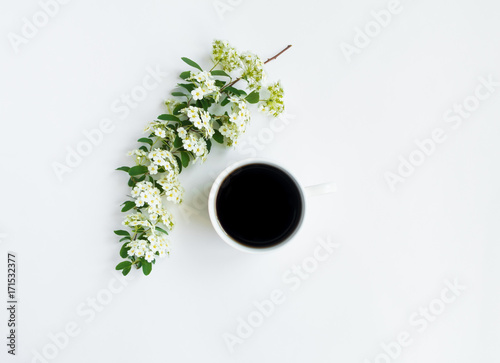 Cup of coffee and flowering Spirea arguta (brides plant) branch on white table. Flat lay, top view