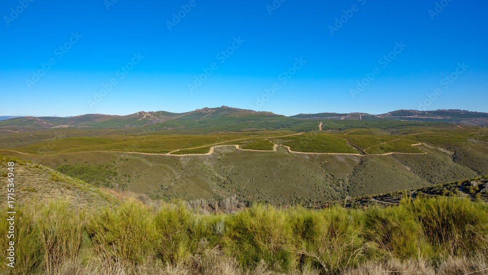 Wide shot of mountain with forest and may firebreaks