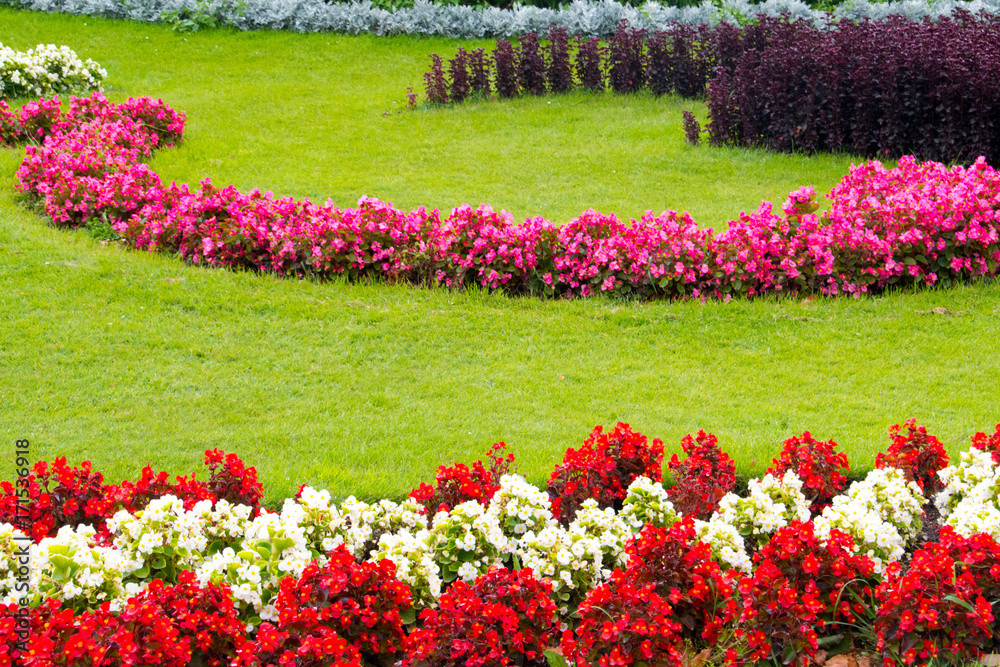 farbenfrohe Blumen in einer Parkanlage