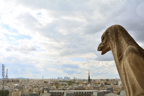 Gargoyle on Notre Dame de Paris on background of skyline of Paris, France. © liberowolf